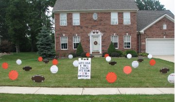 Sport Balls Full Display